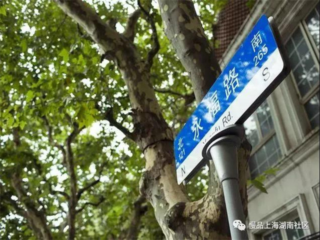 在梧桐树下迷路—一份带点私心的上海高校游指南