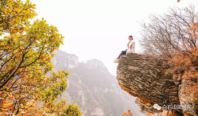 白石山那年秋，我踩过的坑与云端的惊喜