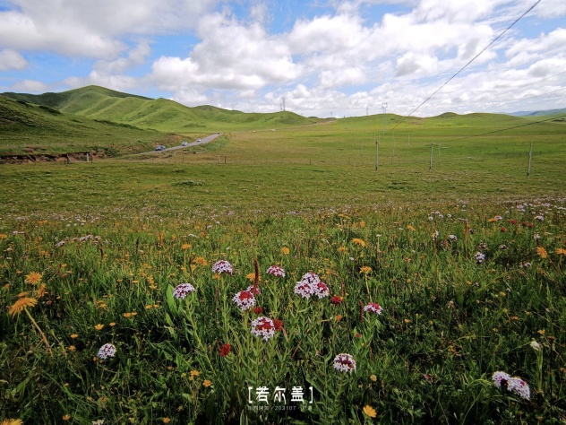 跟着团走了一趟若尔盖，回来我把这趟行程掰开了揉碎了讲给你听